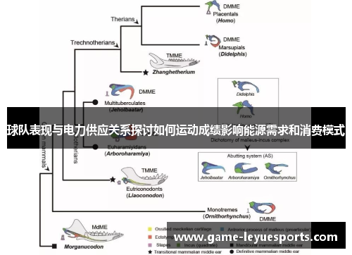 球队表现与电力供应关系探讨如何运动成绩影响能源需求和消费模式