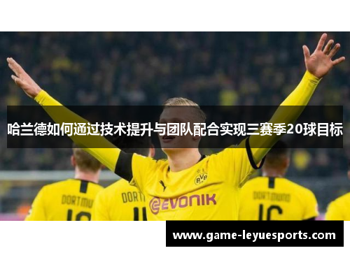 哈兰德如何通过技术提升与团队配合实现三赛季20球目标