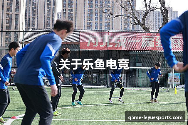 关于乐鱼电竞